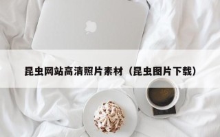 玉林昆虫网站高清照片素材（昆虫图片下载）